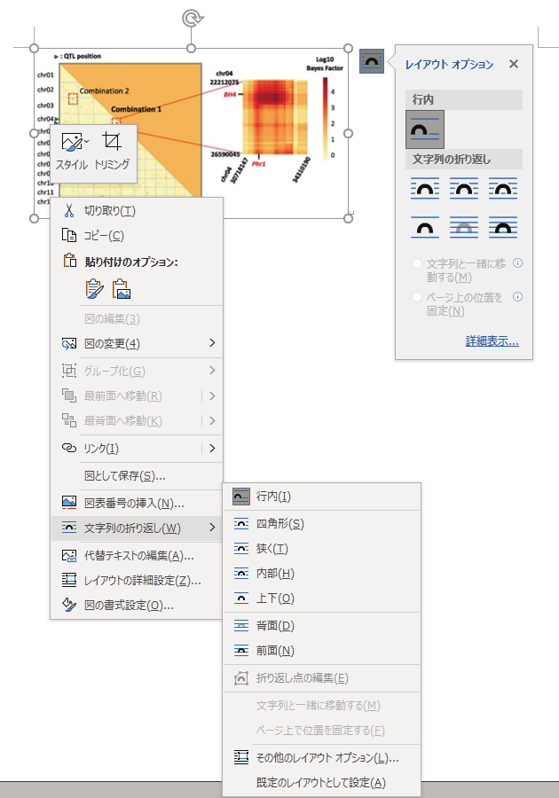 _images/image_layout.png